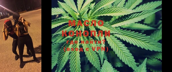 шишки Краснотурьинск