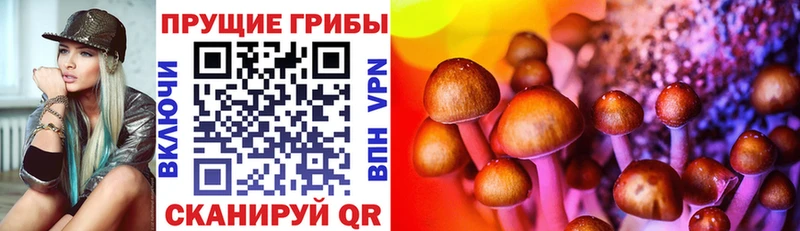 Купить закладки  Ессентуки  Галлюциногенные грибы прущие грибы 